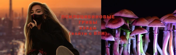 бутират Осинники