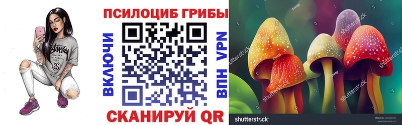 KRAKEN ССЫЛКА  Кировград  Псилоцибиновые грибы мицелий 